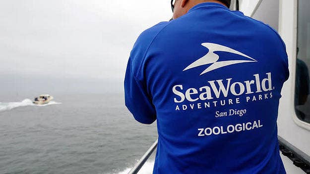 16 people were stranded for up to four hours after an amusement ride at SeaWorld San Diego stopped working.