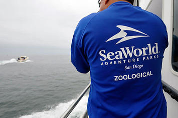 A SeaWorld San Diego worker