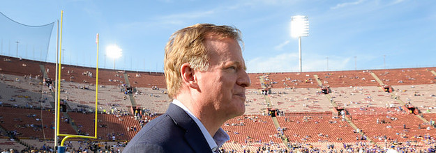 Roger Goodell Finally Acknowledges Referee Error in N.F.C.