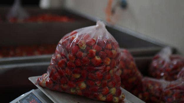 A man was arrested after officials say he transported nearly $13 million of meth in his trailer, along with frozen strawberries.