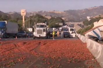 Tomatoes spilled on a highway in Ohio