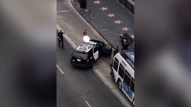 The Los Angeles Police Department say the man, identified as 38-year-old Benny Martinez, was charged with misdemeanor vandalism and has since been released.