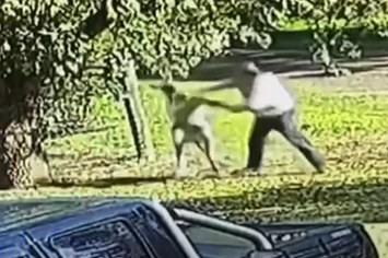 Australian man fights with kangaroo outside his home.