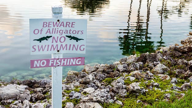 A 47-year-old man in Florida was found dead after he decided to look for Frisbees in a lake that had signs warning people of possible alligators.