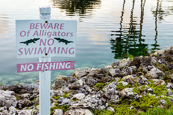 Florida, Naples, warning sign, no fishing, swimming, beware of alligators.