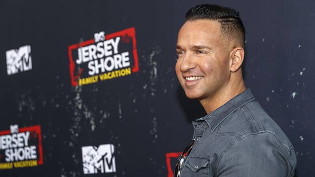 Mike 'The Situation' Sorrentino was hit with a tax lien of $2.3 million from the IRS this past April, after having spent eight months in jail for tax fraud.