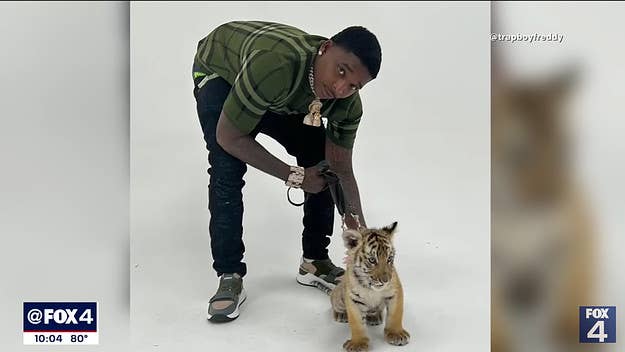 Dallas police and federal marshals found a tiger cub caged inside Trapboy Freddy's house on Wednesday while arresting the rapper on a weapons charge.