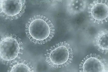 polio virus found in uk