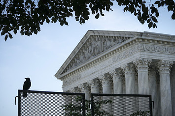 A bird sits atop security fencing outside of the U.S. Supreme Court on May 31, 2022 in Washington, DC.