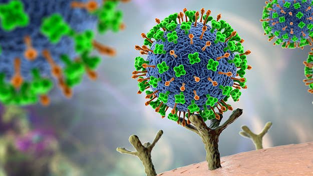 A team of international scientists identified a new virus called the Langya virus, which has already been detected in 35 individuals in China.