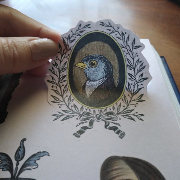 use removing the sticker