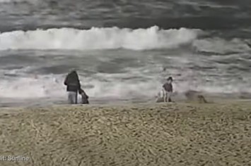 Video Shows Coyote Attack Girl on Beach