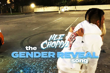 Cover art for NLE Choppa's "the gender reveal" song.