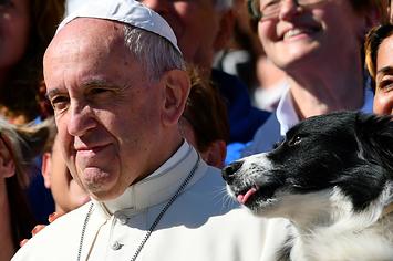The Pope says thing about animals