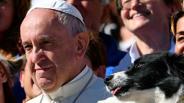 Pope Francis, in a comment that won't go down well with many pet owners, said that people who adopt animals instead of having human children are “selfish.”