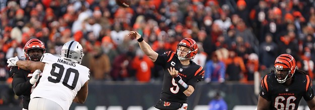 Raiders fans upset over call allowing Bengals TD