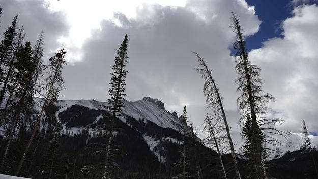
A backcountry skier in Colorado was pronounced dead after being buried alive by an avalanche, marking the latest ski-related death in the area.