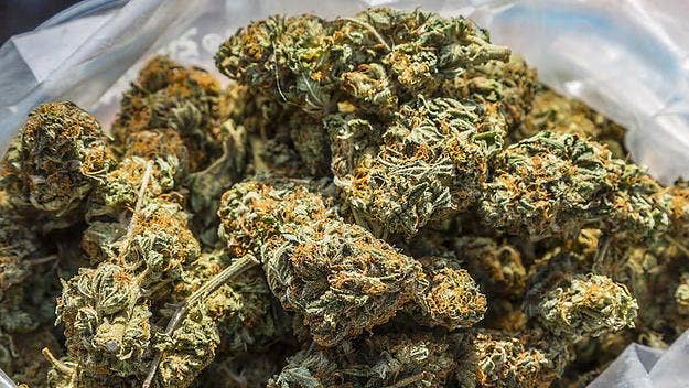 The law, which was approved by 36 votes to 7 in parliament on Tuesday, will allow limited cultivation and possession of cannabis for personal use. Adults wi...