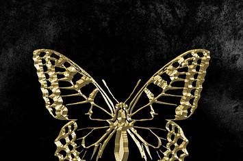 Fetty Wap Butterfly Effect cover art