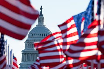 Flags surround the United States Capitol