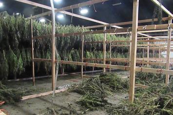 Oregon State Troopers Seize Half a Million Pounds of Marijuana