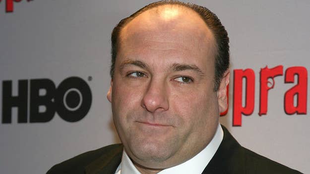 Former HBO CEO Jeff Bewkes claimed in a new tell-all book that some network executives grew concerned about James Gandolfini "staying alive."