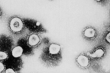 Microscopic view of the Coronavirus