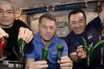 Members of the SpaceX crew who have to travel home in diapers