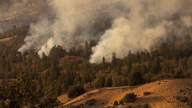 A woman has been charged with sparking the recent Fawn Fire in California after telling authorities she tried to boil water containing bear urine.