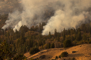 Fire consumes forests in the Pine Flat area as the Windy Fire continues to spread.