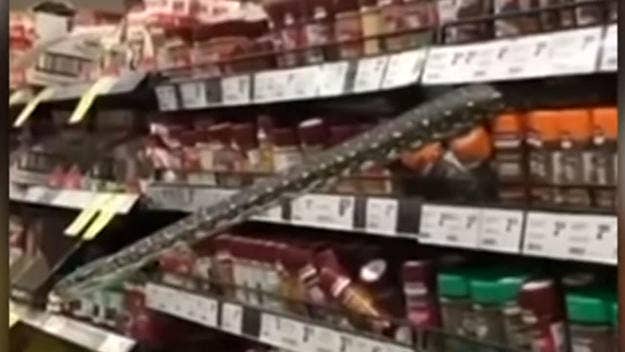 A 10-foot-long python surprised a shopper (who also happened to be a trained snake catcher) when it emerged from a shelf at an Australian supermarket.