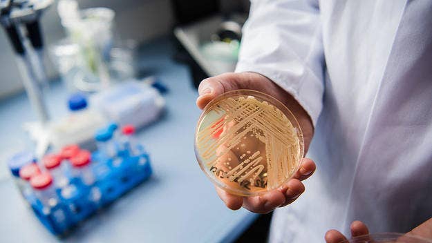 The C.D.C. has issued a warning regarding a drug-resistant superbug fungus, Candida auris, that preys upon those with weakened immune systems.