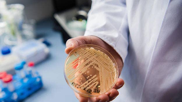 The C.D.C. has issued a warning regarding a drug-resistant superbug fungus, Candida auris, that preys upon those with weakened immune systems.