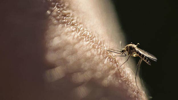 Making an appearance later in the year than usual, California's Orange and Los Angeles counties first batch of West Nile virus-infected mosquitoes were found.