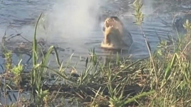 A now-viral video on TikTok captured the moment an alligator in Florida ate a drone and burst into smoke, and it’s starting to stir up some controversy.