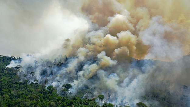 The Amazon rainforest is now emitting more carbon dioxide than it is able to absorb, scientists have confirmed for the first time in a new study.