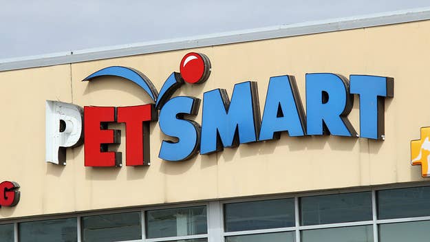 The death of a 12-year-old toy poodle, Kobe has resulted in four PetSmart employees charged with animal cruelty. The dog died in the groomers' care.
