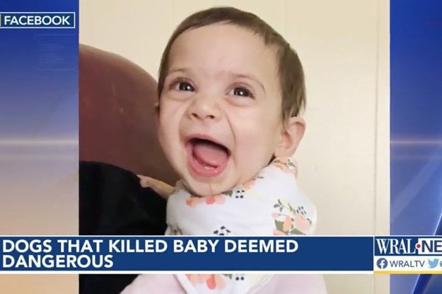 10-Month-Old North Carolina Girl Dies After Family's Dogs Attack Her ...