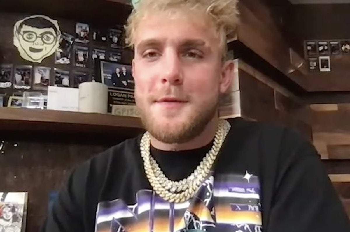 He Wants Attention So Bad': Conor McGregor Annihilating Jake Paul