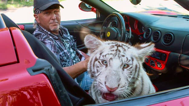 Authorities took almost 70 big cats from 'Tiger King' star Jeff Lowe’s zoo, citing multiple instances of abuse against the endangered animals.