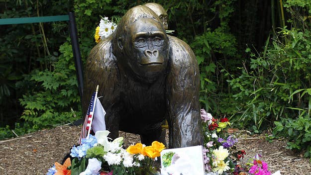 Five years after he was shot dead at Cincinnati Zoo, Harambe is set to be honored at an NFT auction, where a photo of the famed gorilla will be sold.