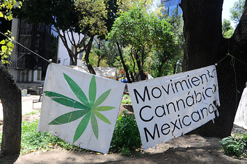 A camp outside the country's Senate building, Mexican marijuana activists have been camping outside the Senate.