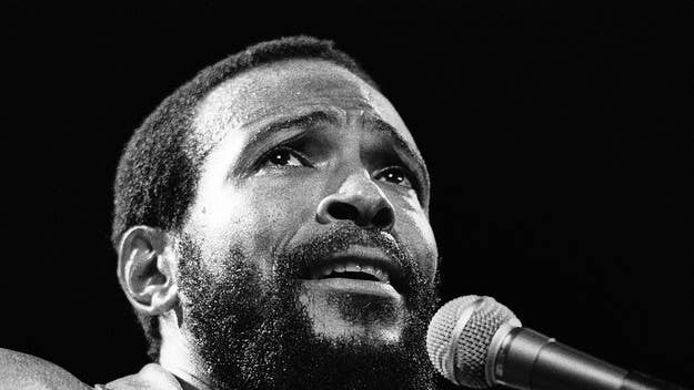 Warner Bros. has acquired the script for 'What's Going On,' a biopic about the life of late Motown icon Marvin Gaye. Allen Hughes will direct.