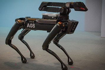 robot-dog