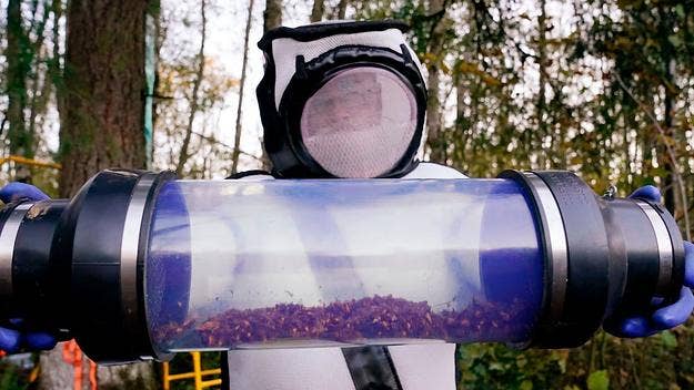 After giant "murder hornets" appeared in North America last May, scientists are now trying to prevent nests from being established again as we enter spring.
