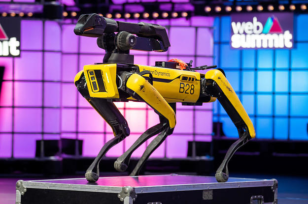 michael reeves boston dynamics dog