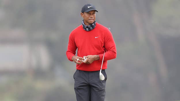 Tiger Woods has posted his first photo of himself since his car accident earlier this year, showing him on a golf course in crutches with his dog.