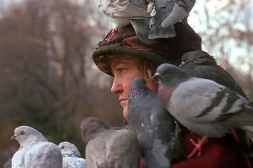 pigeon lady