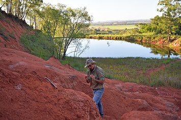 A paleontologist in Brazil
