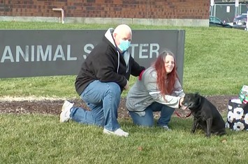 Michigan woman reunites with dog